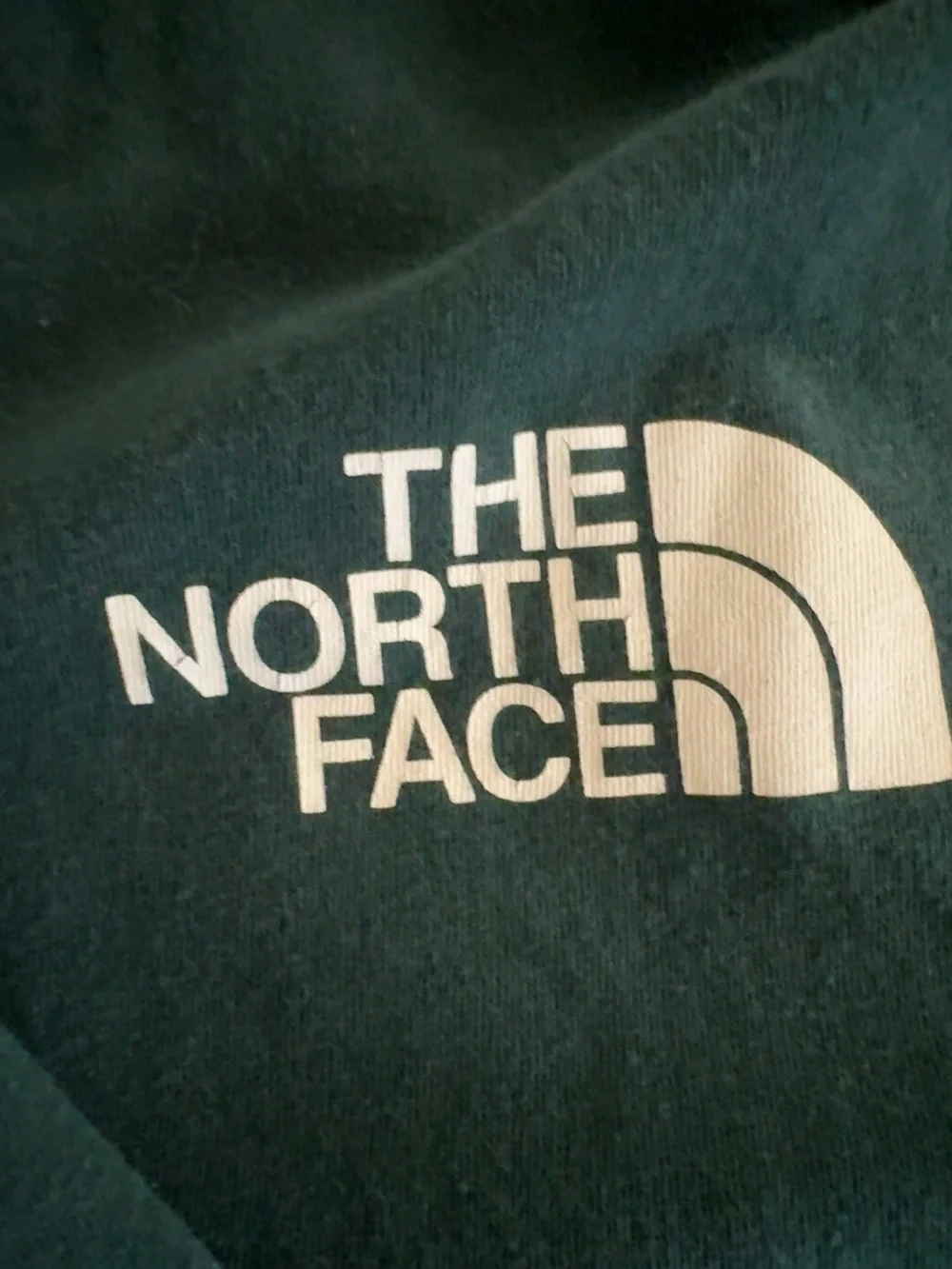The North Face Box NSE Long Sleeve Tee Men’s L Green A4762